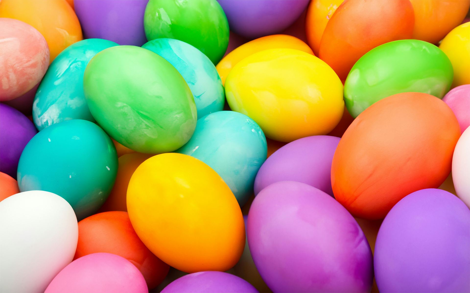 eggs